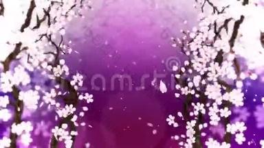 樱花盛开。 樱桃树枝。 樱花粉红色.. 樱花紫背景.. CG循环动画。